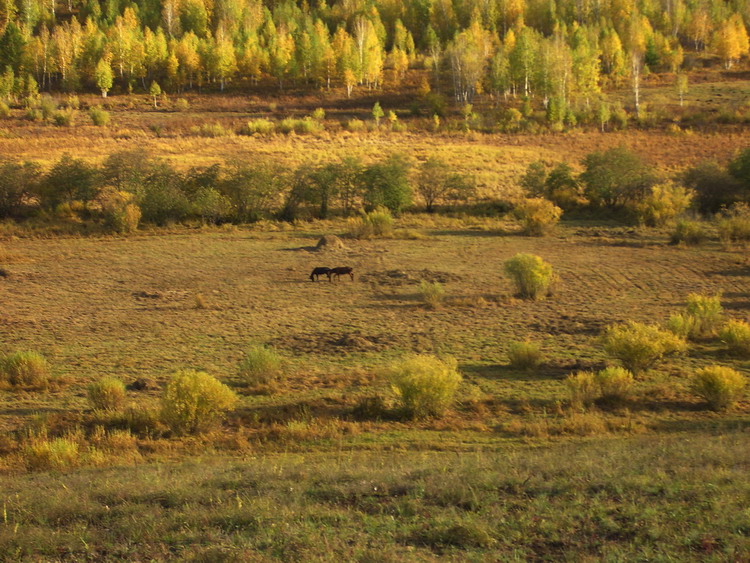 cimg7094.jpg