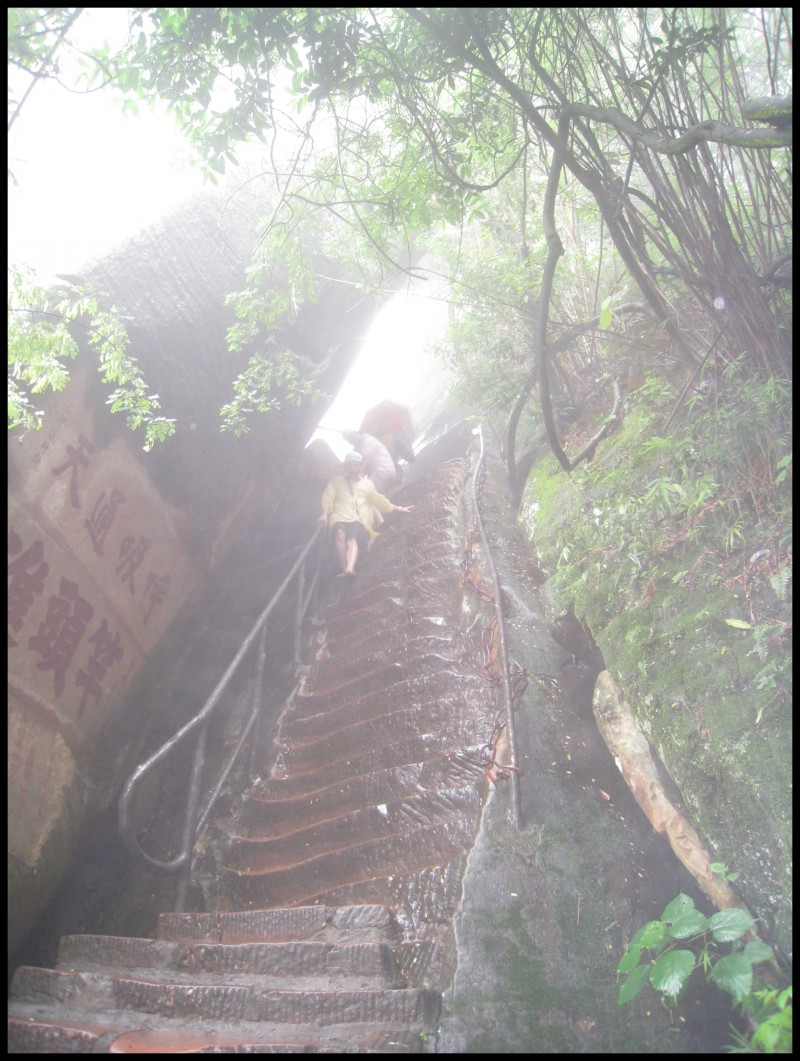 conew_img_6835.jpg