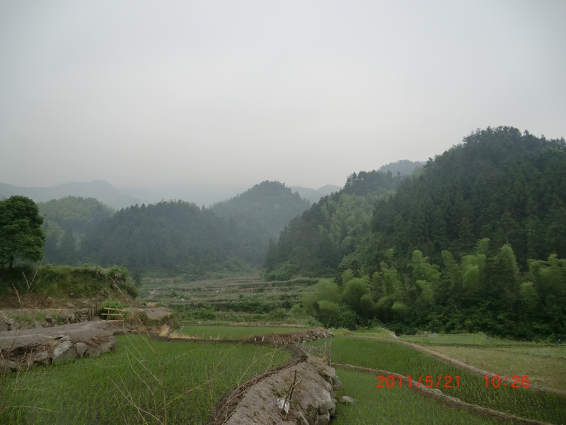 cimg2705.jpg