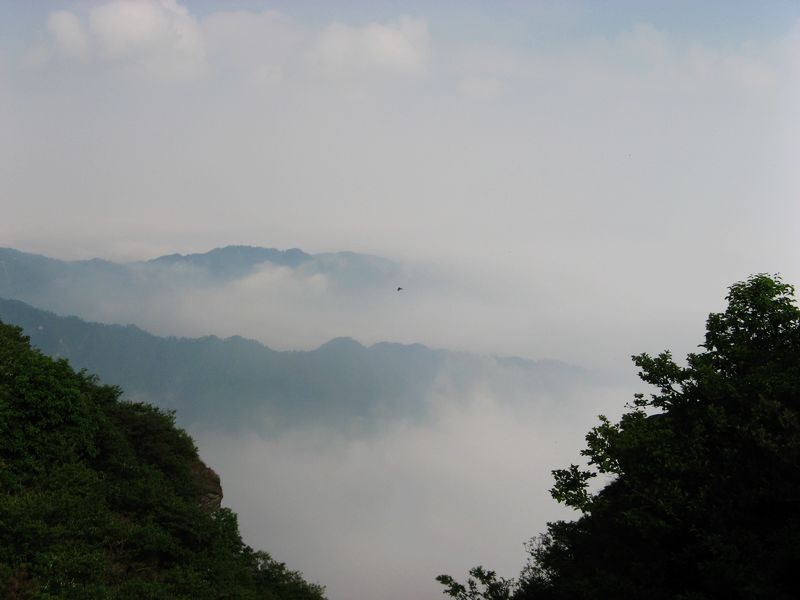 neo_img_img_3520.jpg