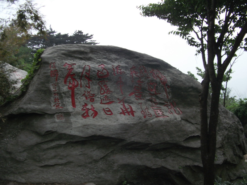 dscf0650.jpg