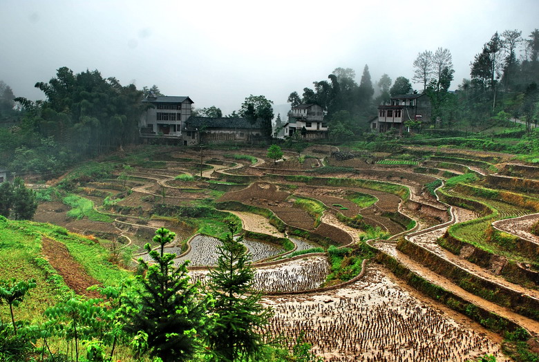 dsc_0894.jpg