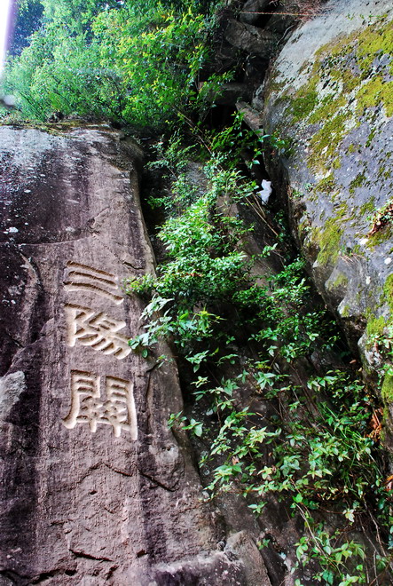 dsc_0958.jpg