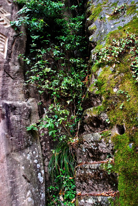 dsc_0957.jpg