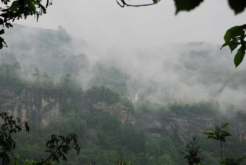 dsc_0959.jpg