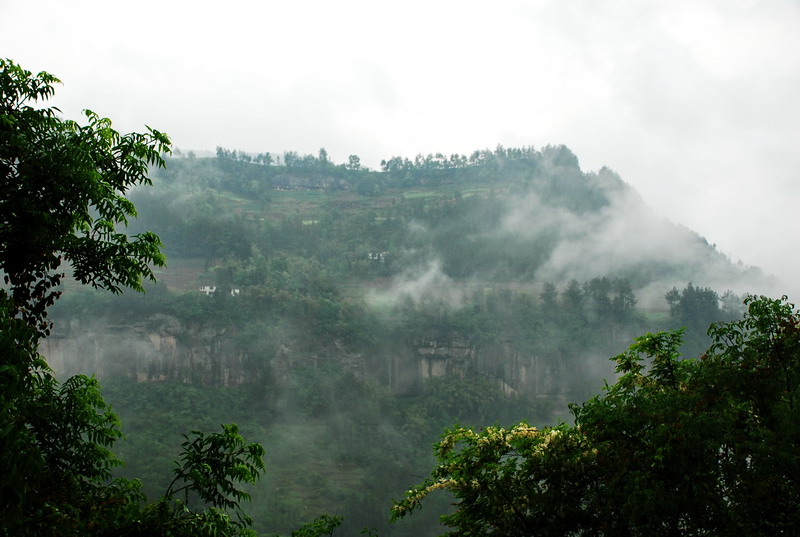 dsc_0964.jpg