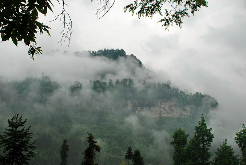 dsc_0965.jpg