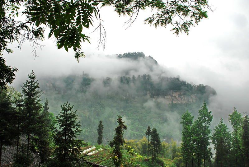 dsc_0966.jpg