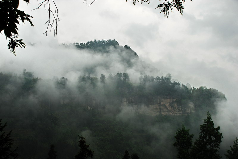 dsc_0967.jpg