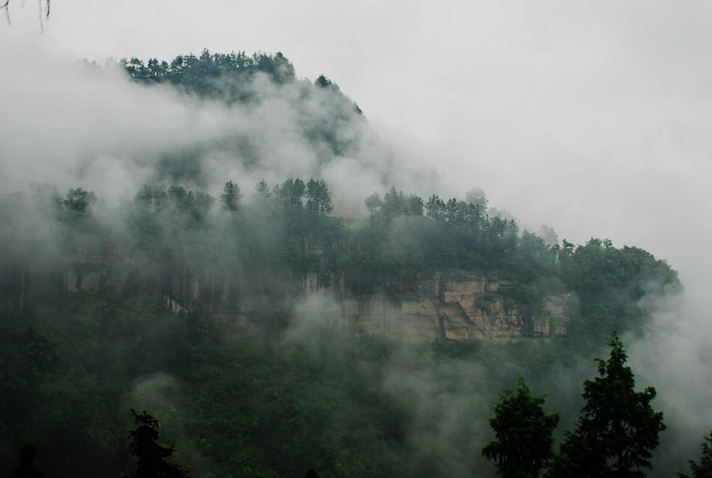 dsc_0968.jpg