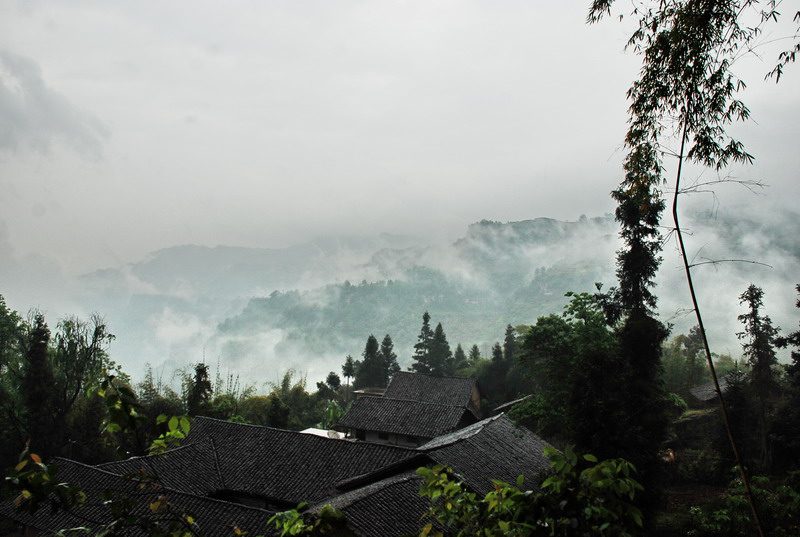 dsc_0970.jpg