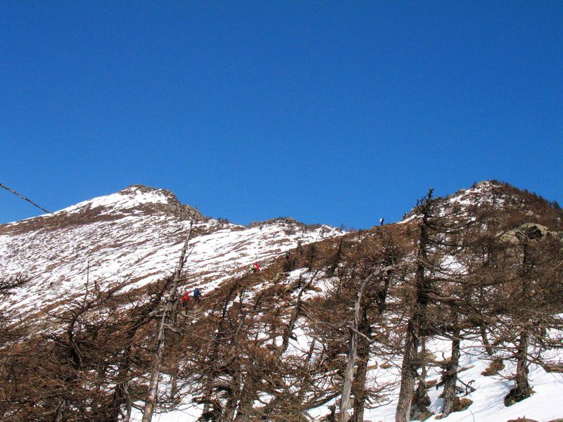 img_0987.jpg
