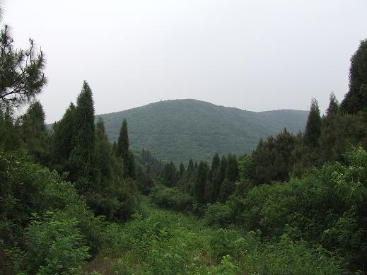 dscf3426.jpg