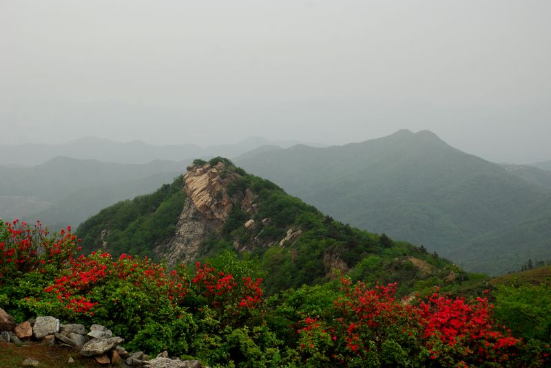 dsc_2744.jpg