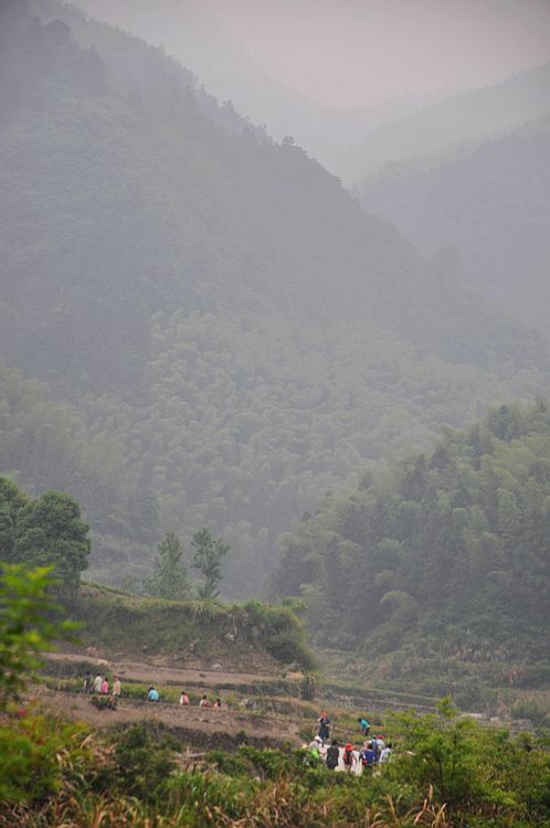dsc_0958.jpg