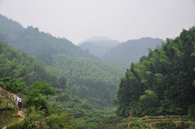 dsc_0977.jpg