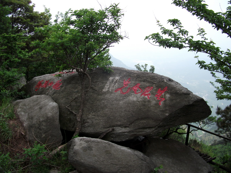 dscf0654.jpg
