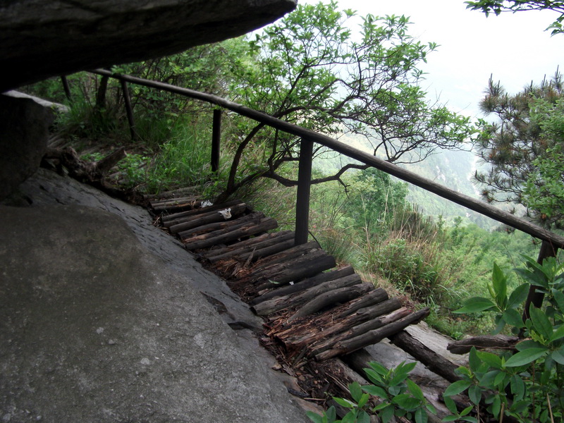 dscf0655.jpg