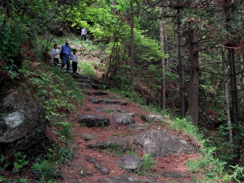 dscf0658.jpg