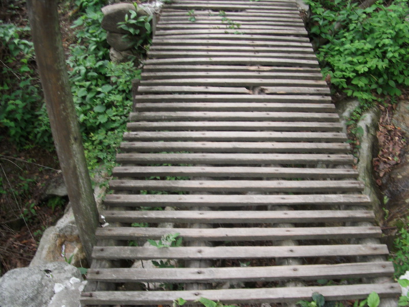 dscf0657.jpg