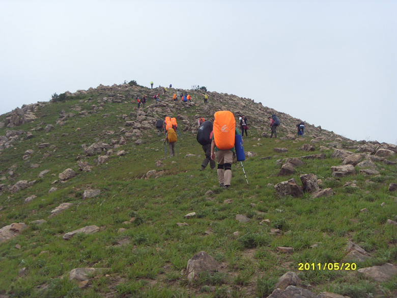 sdc12010_.jpg