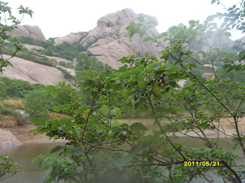 sdc12025_.jpg