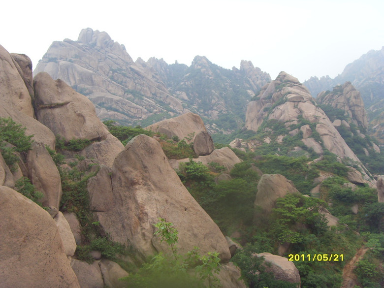 sdc12029_.jpg