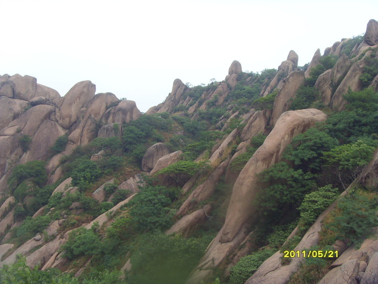 sdc12030_.jpg