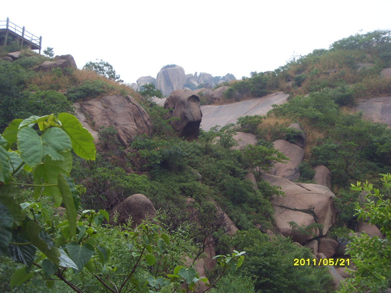 sdc12035_.jpg