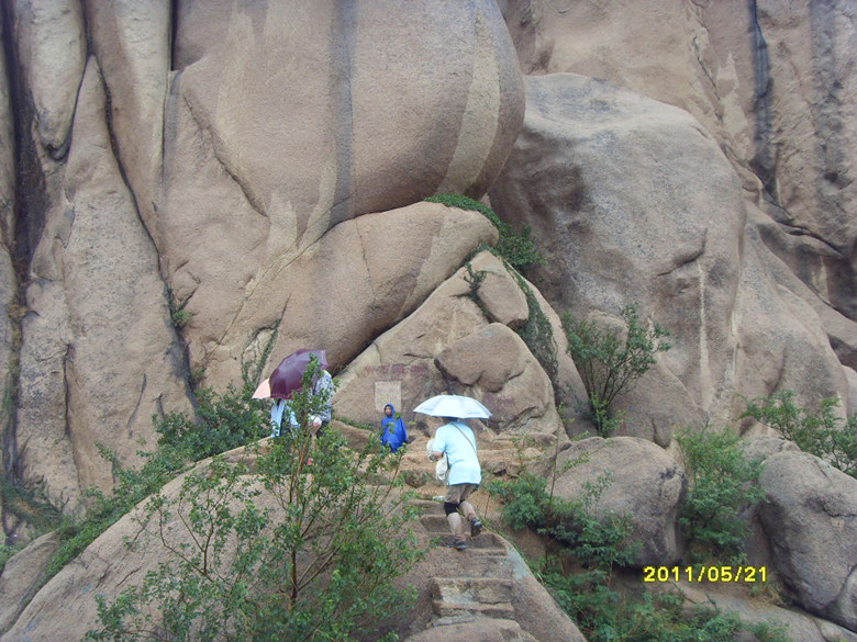 sdc12041_.jpg