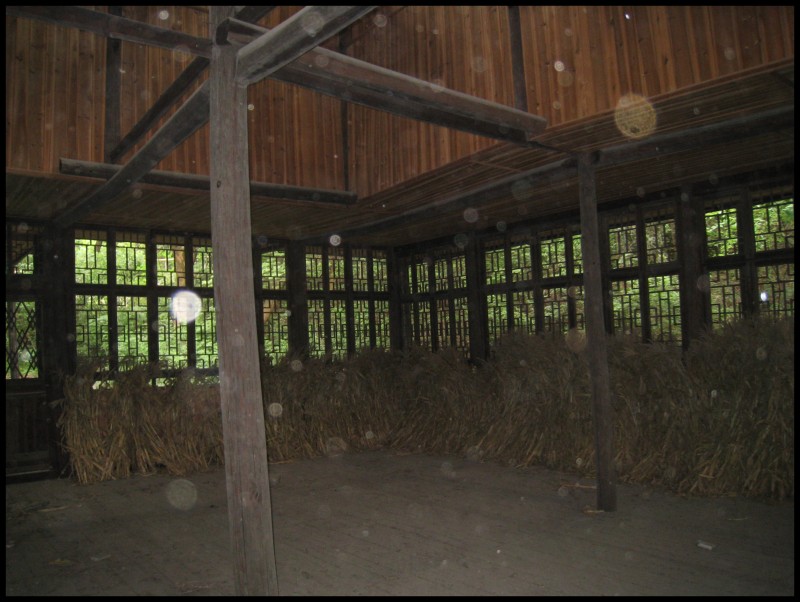 conew_img_6188.jpg