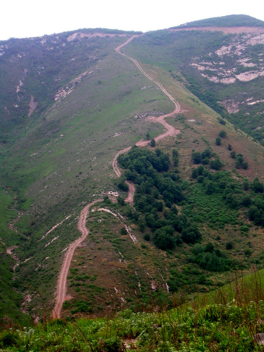 56.jpg
