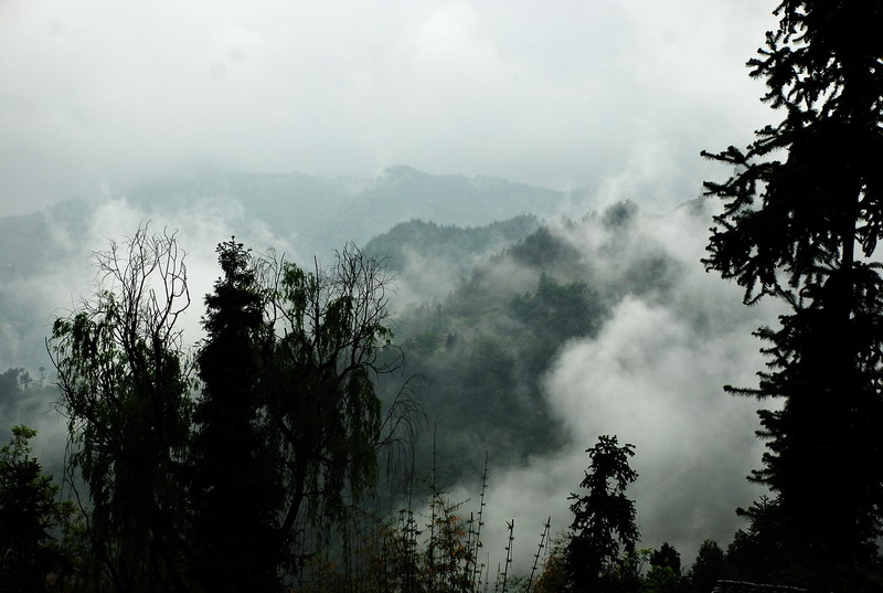 dsc_0005.jpg