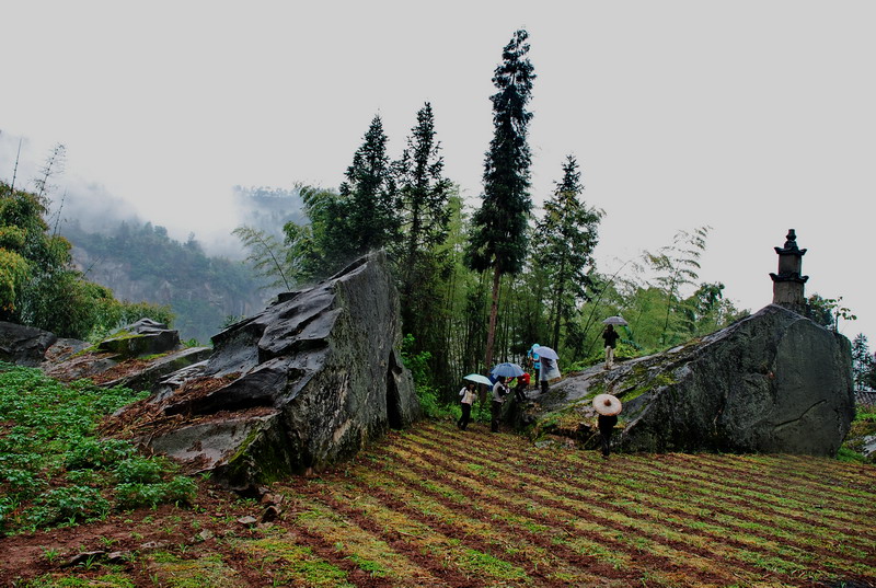 dsc_0980.jpg