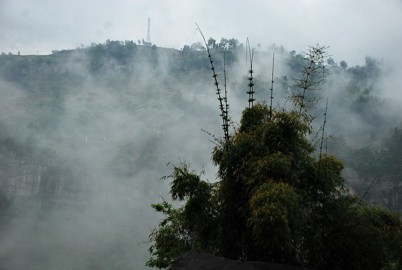 dsc_0985.jpg