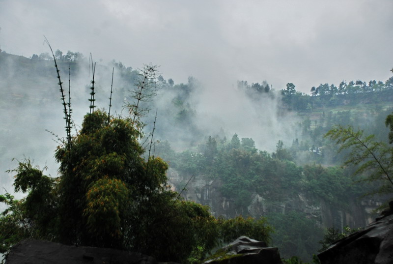 dsc_0986.jpg