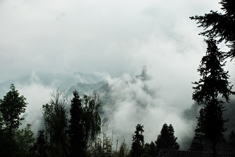 dsc_1002.jpg