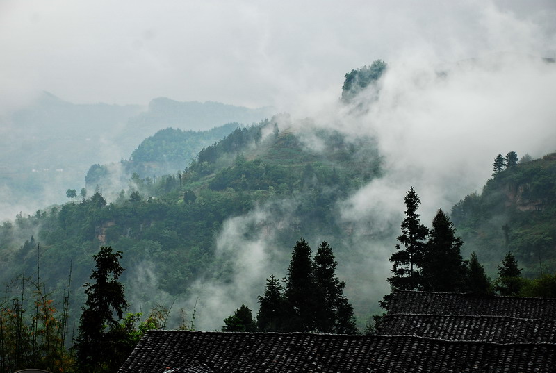 dsc_0014.jpg