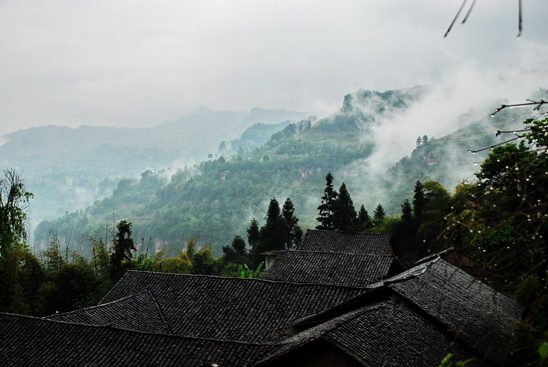 dsc_0018.jpg