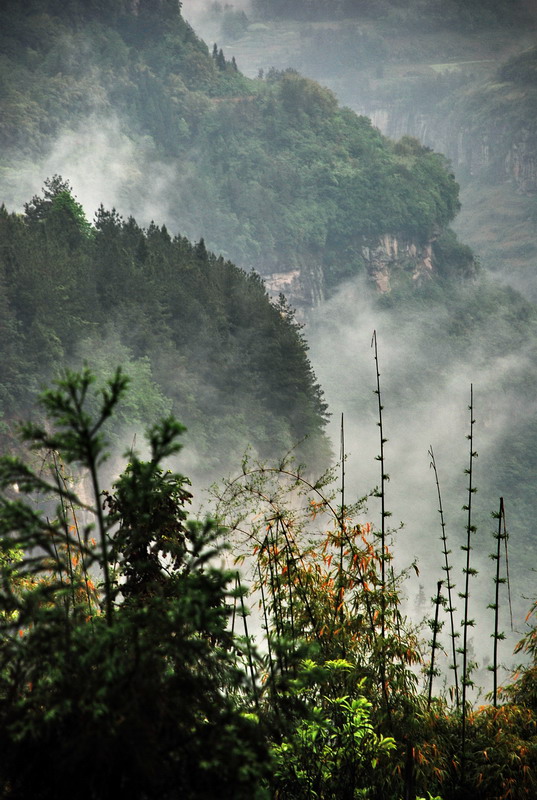 dsc_0035.jpg