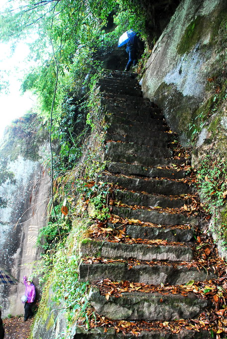 dsc_0042.jpg
