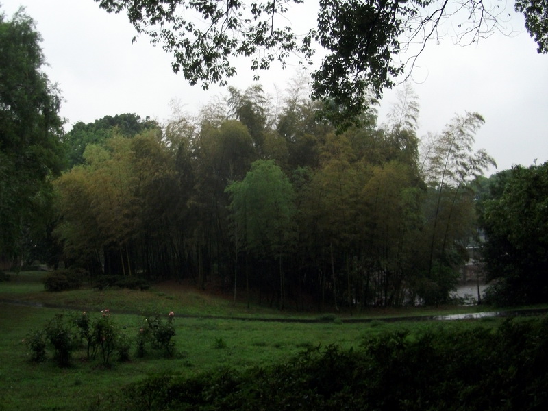 dscf1029.jpg