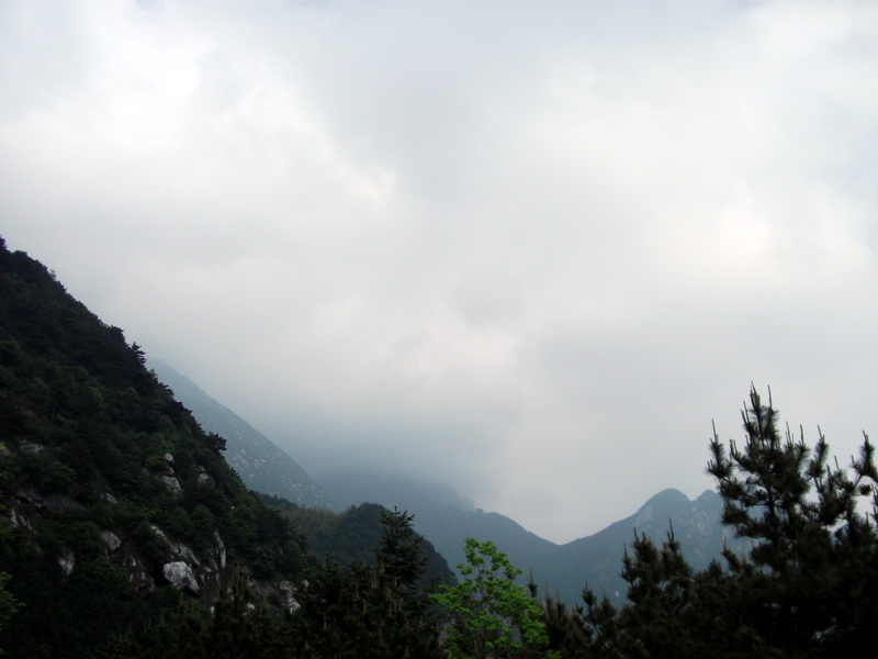 dscf0663.jpg