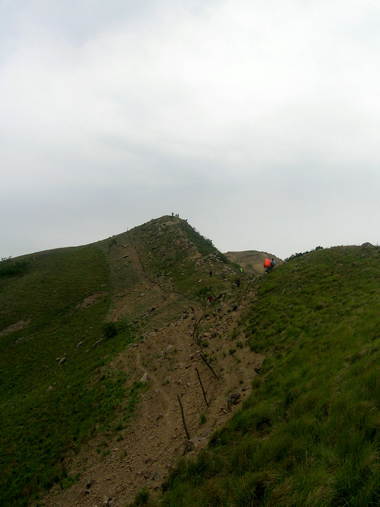 85.jpg