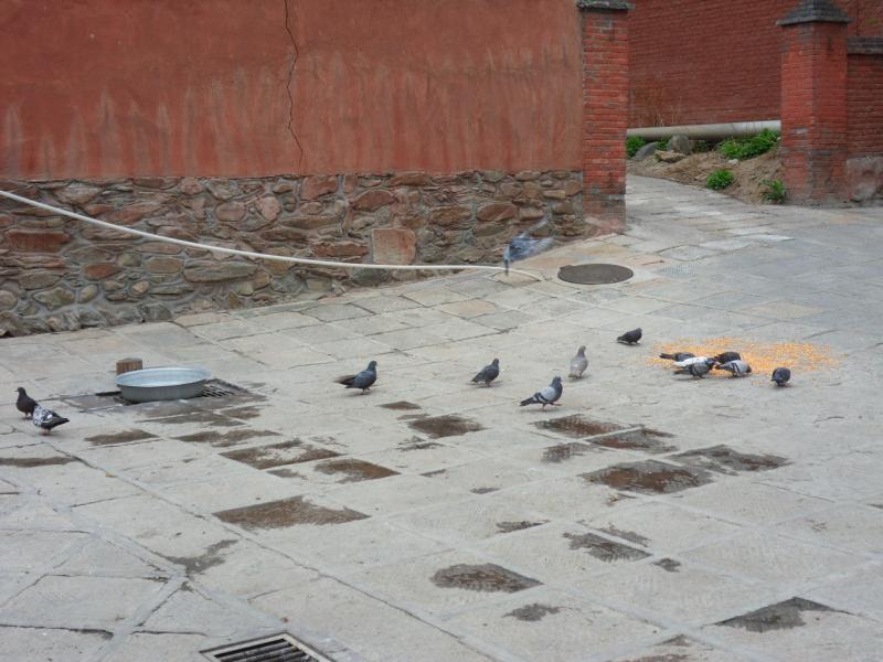 sdc10167.jpg