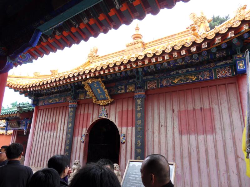 sdc10140.jpg