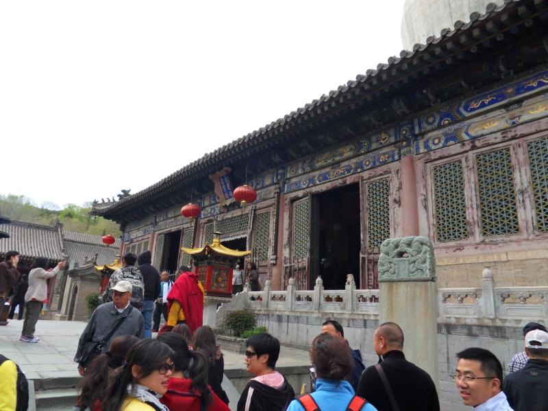sdc10204.jpg