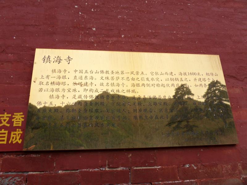 sdc10236.jpg