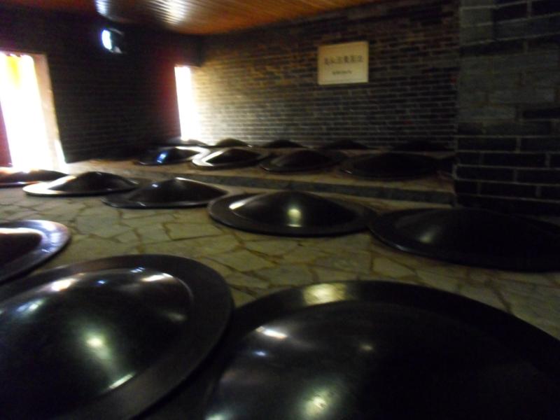 sdc10308.jpg