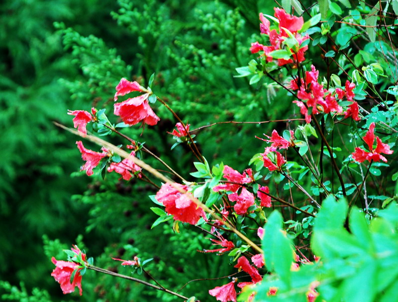 dsc_0113.jpg